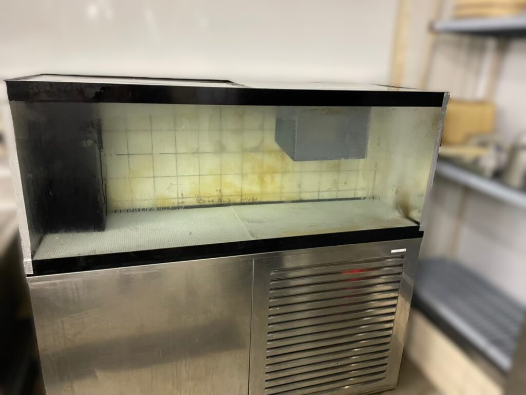 千葉県　活魚水槽　メンテナンス